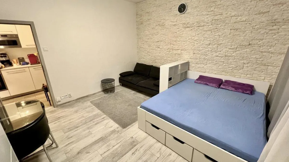 Pronájem bytu · 1+kk · 36 m² (ID: Krakovska1kk)
