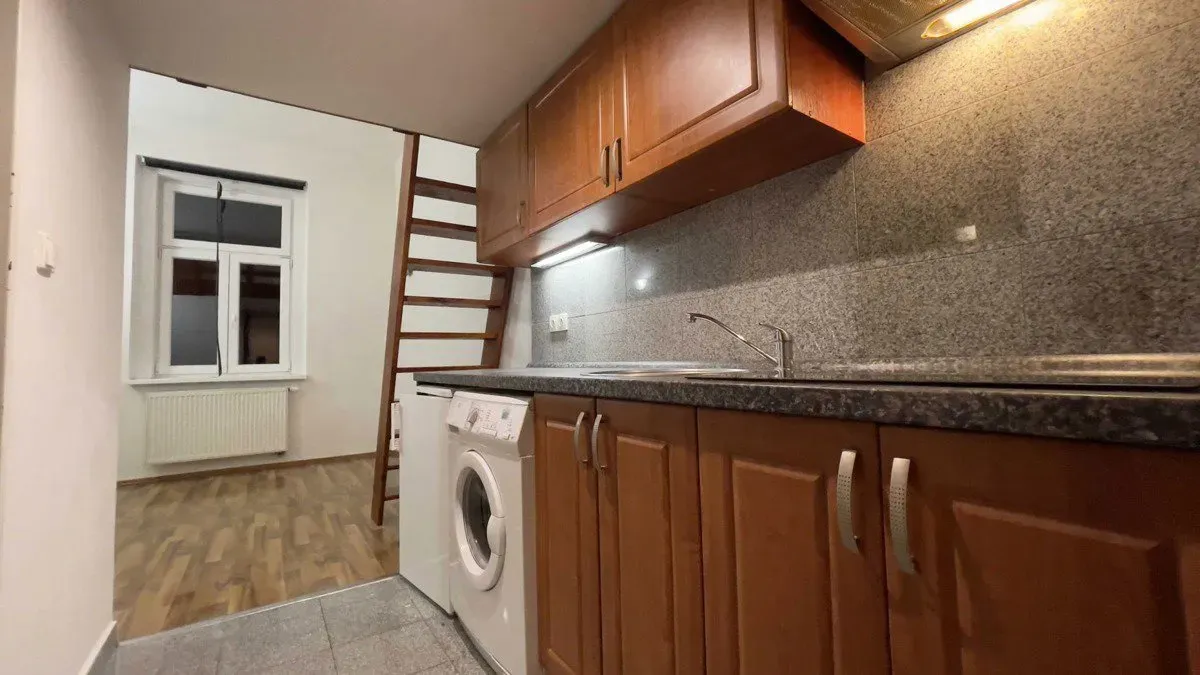 Pronájem bytu · 1+kk · 22 m² (ID: Freyova53B)