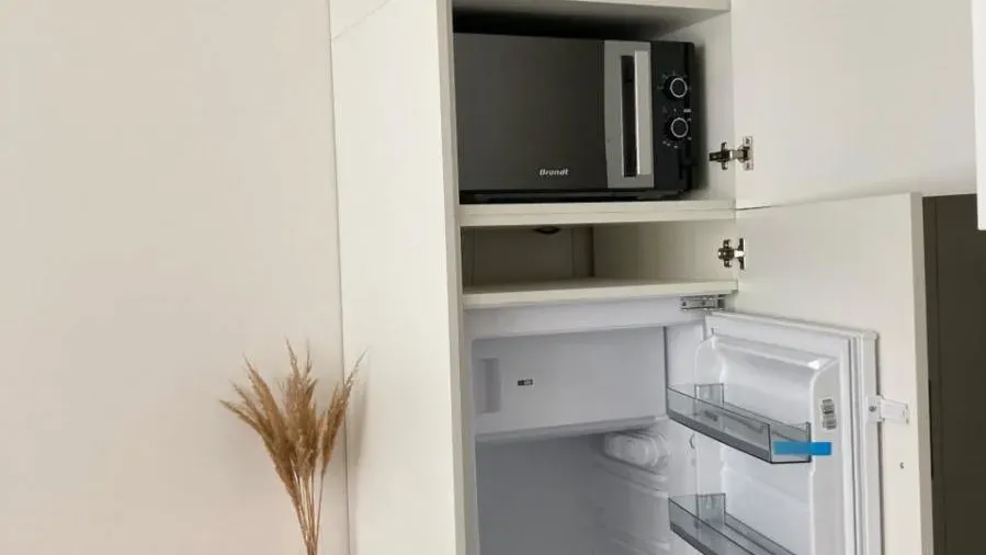 Pronájem bytu · 1+kk · 20 m² (ID: Mozzartova1kk)